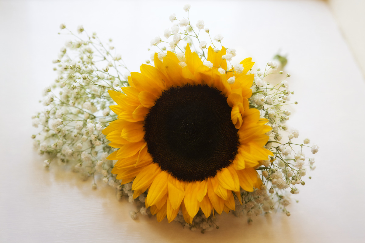 20150802 Mark & Ana 004